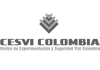 Cesvi Colombia